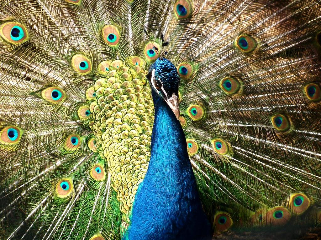 Futuristic holographic display showing 3D data visualization