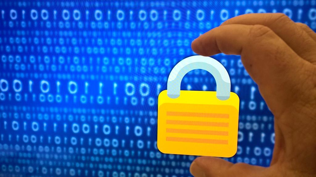 Privacy protection shield with encrypted data streams